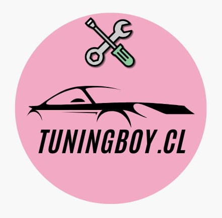 Cotizar TuningBoy